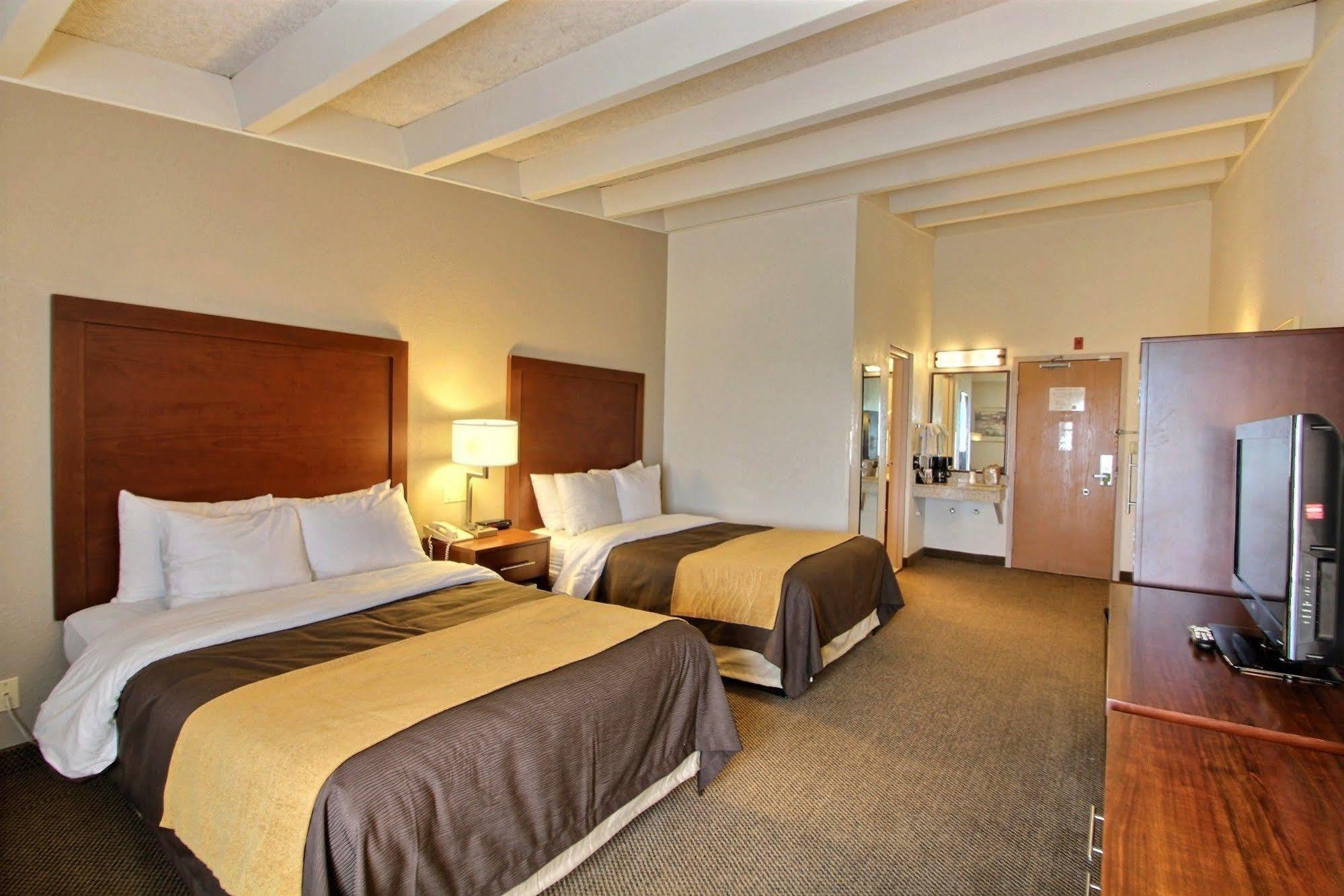 Comfort Inn & Suites Madison - Airport Exterior photo